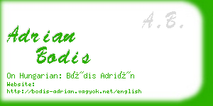 adrian bodis business card